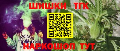хмурый Камень-на-Оби