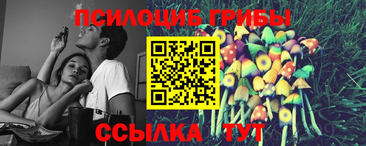 Галлюциногенные грибы MAGIC MUSHROOMS Качканар